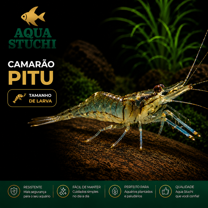Camarão Pitu 2-4cm