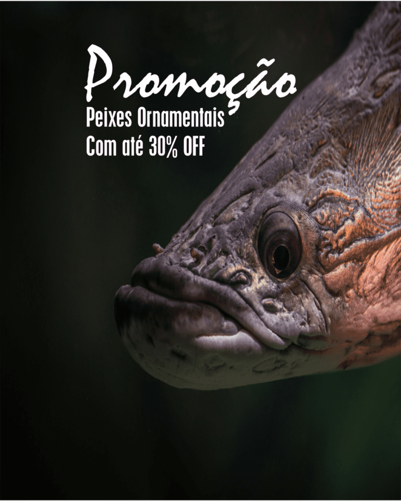 Aqua Stuchi Peixes Ornamentais