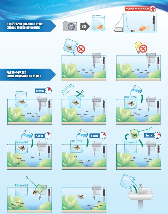 TERMO DE CONTRATO E GARANTIA DE CARGA VIVA Aqua Stuchi Peixes Ornamentais 1 aclimatacao