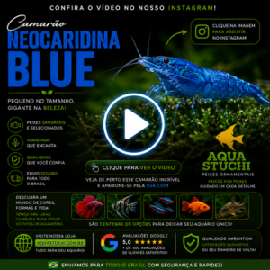 Camarão Neocaridina Blue 1-2cm