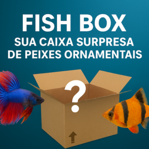 Fish Box