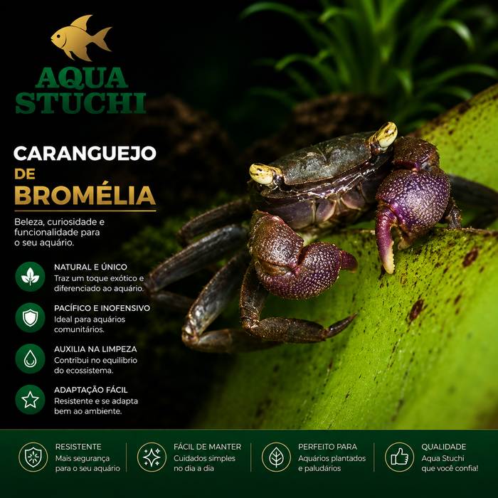 Caranguejo de Bromélia