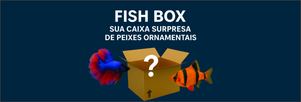 Fish Box