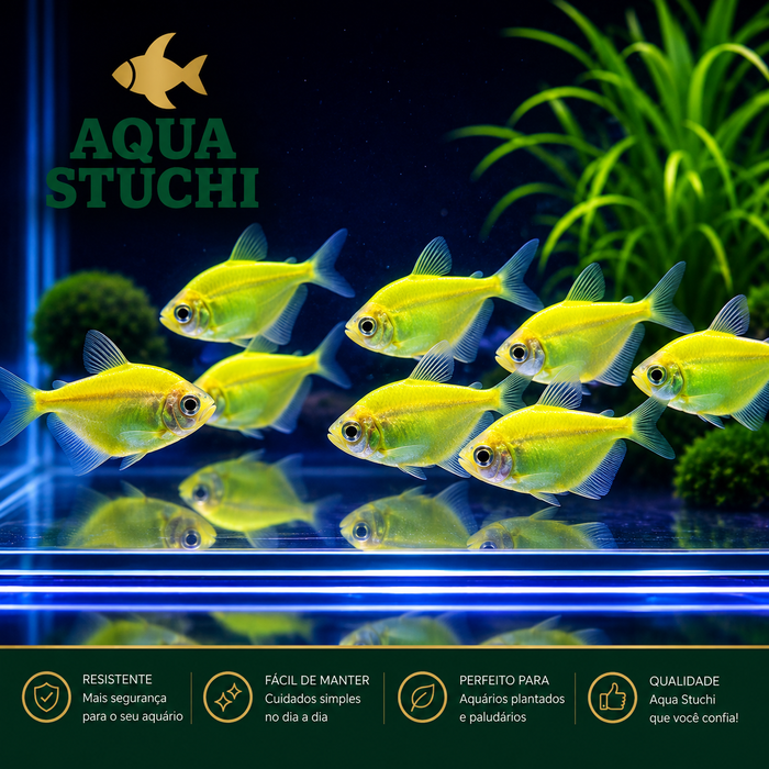 Tetra Monja Verde GloFish 2-3cm