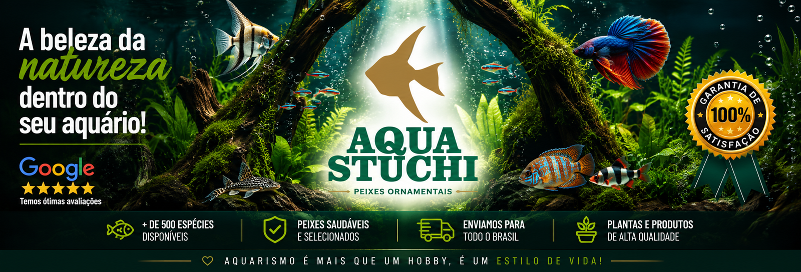 Home Aqua Stuchi Peixes Ornamentais 1 Aqua Stuchi Peixes Ornamentais