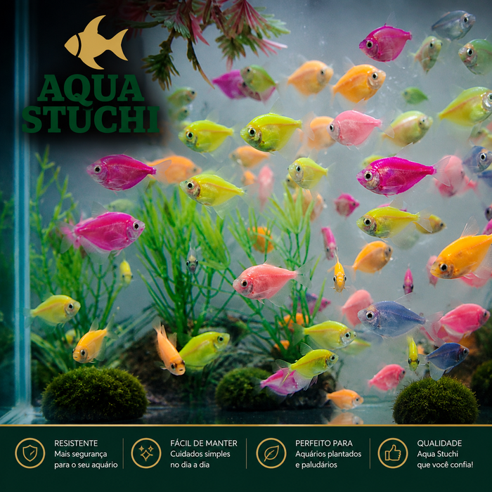 Tetra Monja GloFish