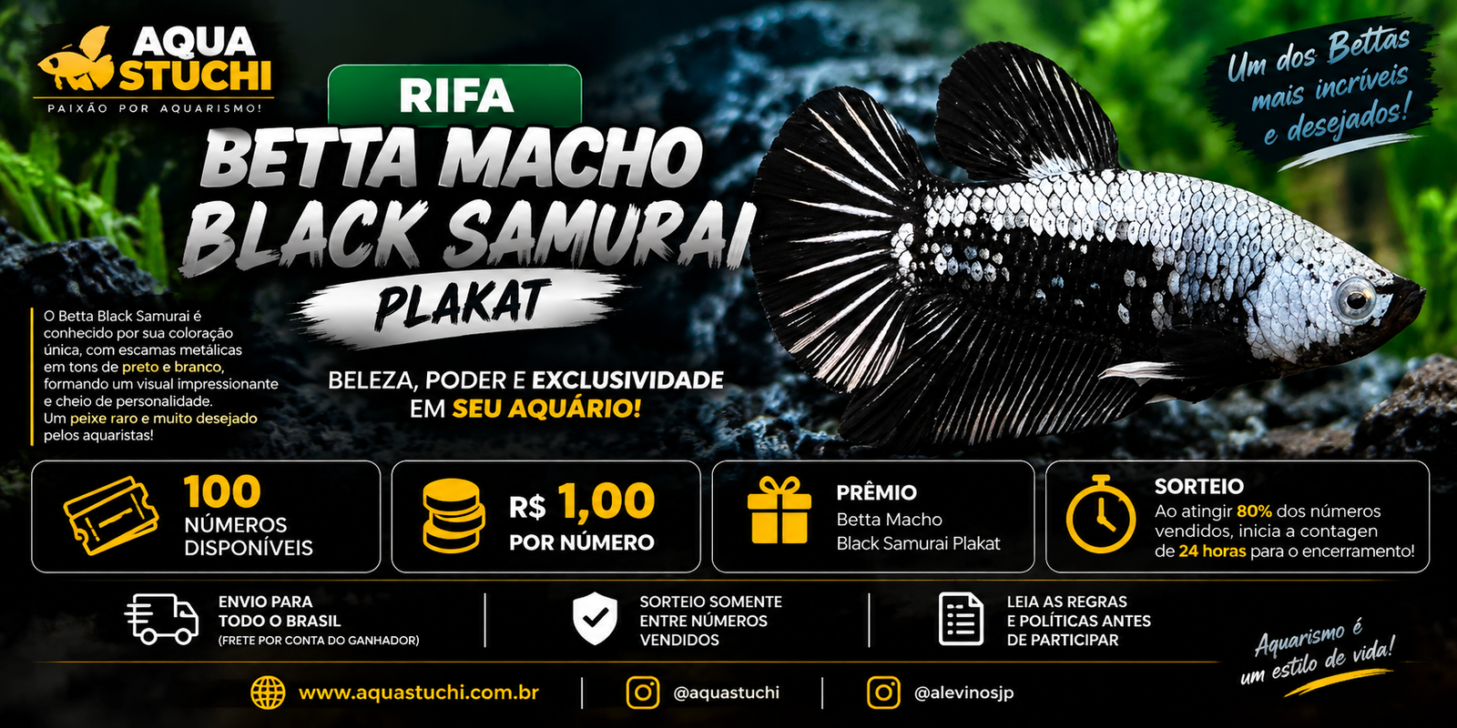 🐟 Betta Macho Black Samurai Plakat 1 🐟 Betta Macho Black Samurai Plakat