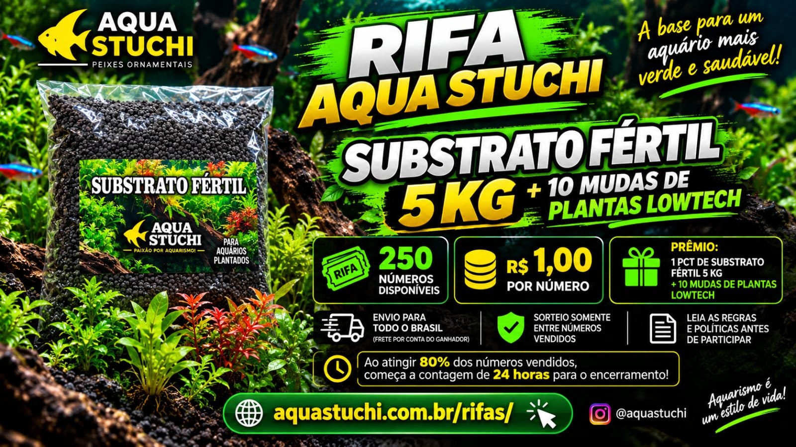 🌿 RIFA AQUA STUCHI — SUBSTRATO FÉRTIL + PLANTAS LOW-TECH 🐠