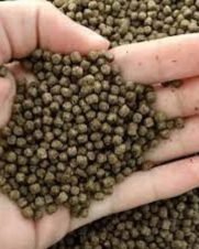 Mix Fish 40% Alevinos Inicial 250g