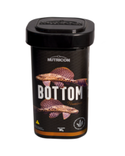 Aqua Stuchi Peixes Ornamentais