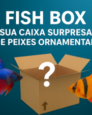 Fish Box