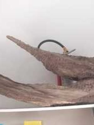 Tronco Grande 180x50x20