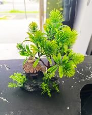 Decoração Arvore Bonsai com Casa 12x24cm bbb pet