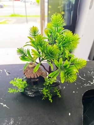 Decoração Arvore Bonsai com Casa 12x24cm bbb pet