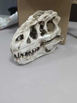 Enfeite De Resina Ocean Tech Crânio de Dinossauro 15cm
