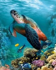 Painel Decorativo 50cm X 10cm