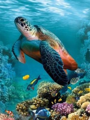 Painel Decorativo 50cm X 10cm